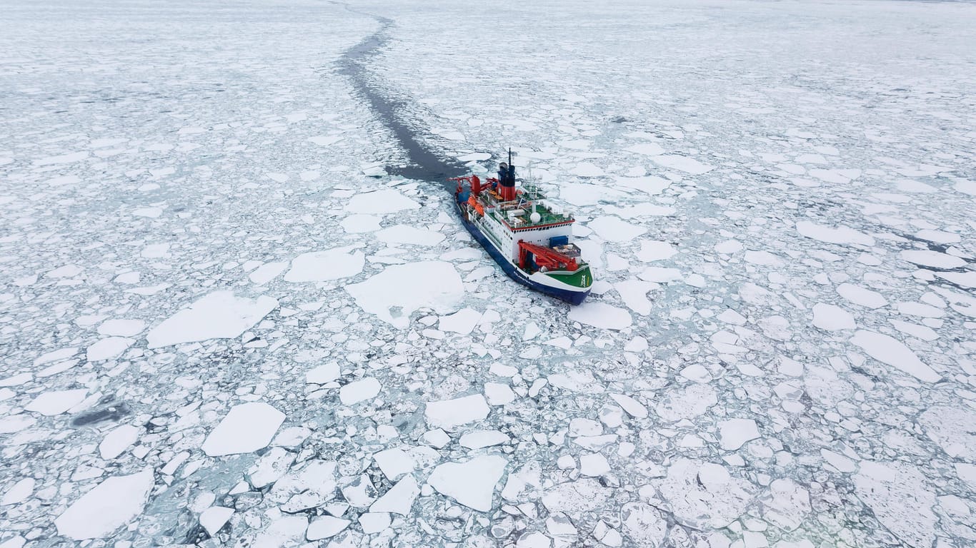 Der Forschungseisbrecher "Polarstern": Bei dieser Expedition wurde das Brutgebiet entdeckt.