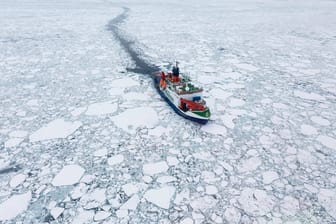 Der Forschungseisbrecher "Polarstern": Bei dieser Expedition wurde das Brutgebiet entdeckt.