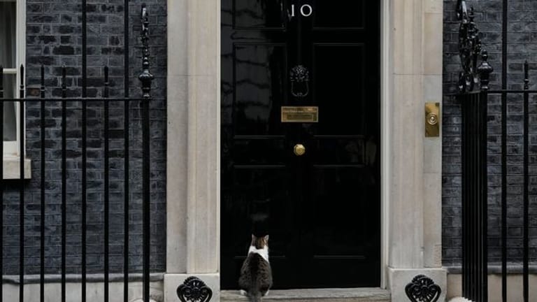 Kater Larry sitzt vor der Tür der 10 Downing Street.