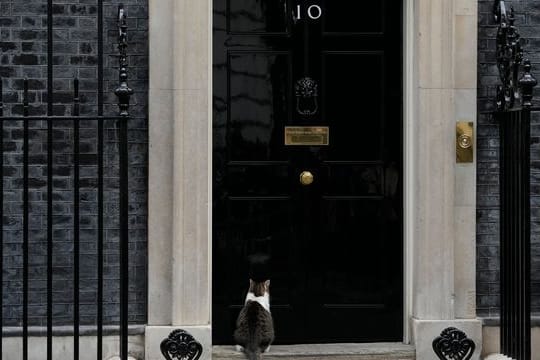 Kater Larry sitzt vor der Tür der 10 Downing Street.