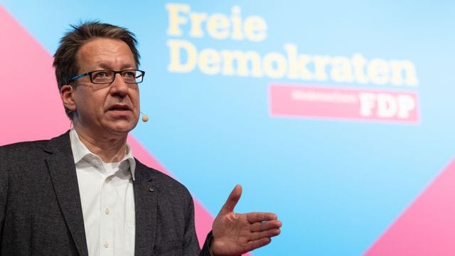 Stefan Birkner (FDP)