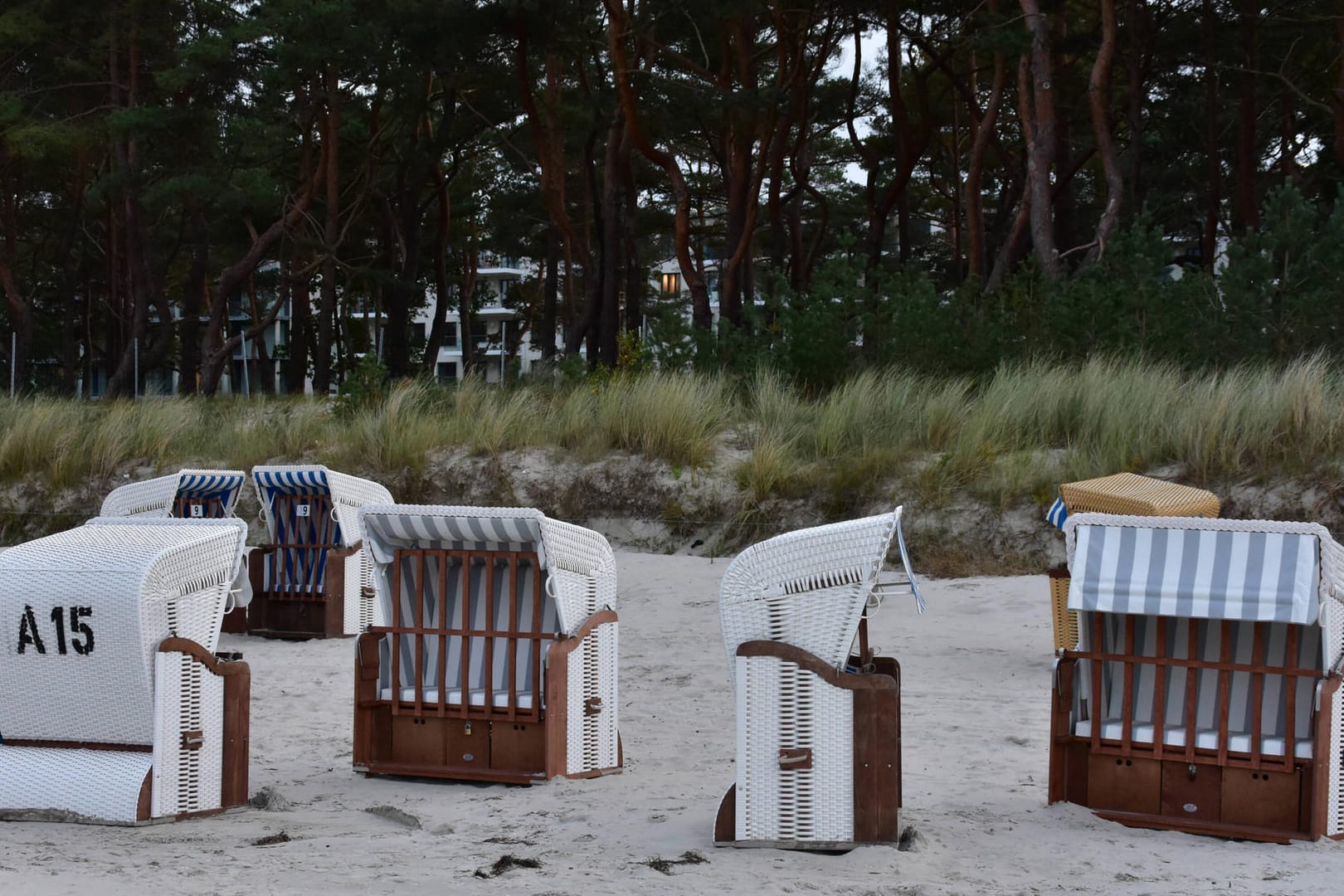 Strandkörbe stehen bei Binz auf Rügen (Archivbild): Ein Spaziergänger fand auf der Insel eine Granate
