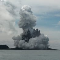 Eine Aschewolke und vulkanische Gase steigen nach dem Ausbruch eines unterseeischen Vulkans im Inselreich Tonga auf.