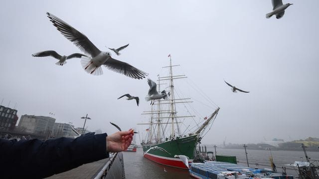 Regenwetter in Hamburg