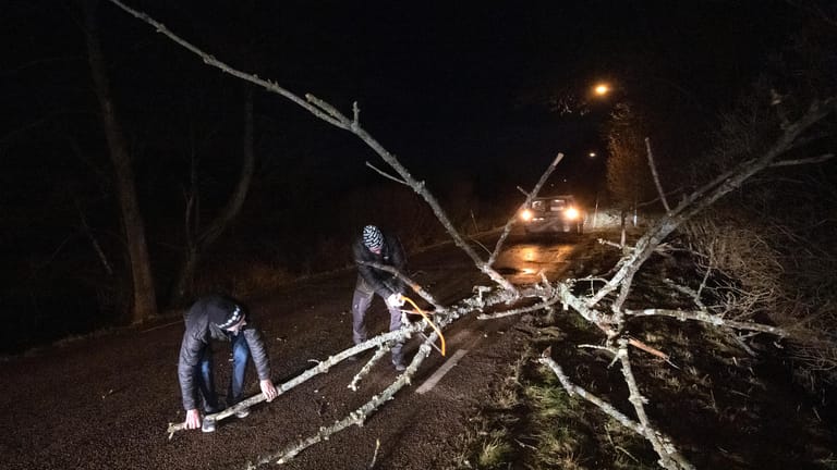 Baum liegt auf der Straße in Schweden: Das Wetter sorgt derzeit für Zugausfälle und Chaos auf den Straßen.