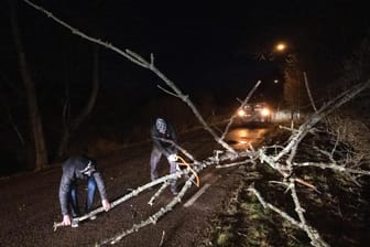 Baum liegt auf der Straße in Schweden: Das Wetter sorgt derzeit für Zugausfälle und Chaos auf den Straßen.