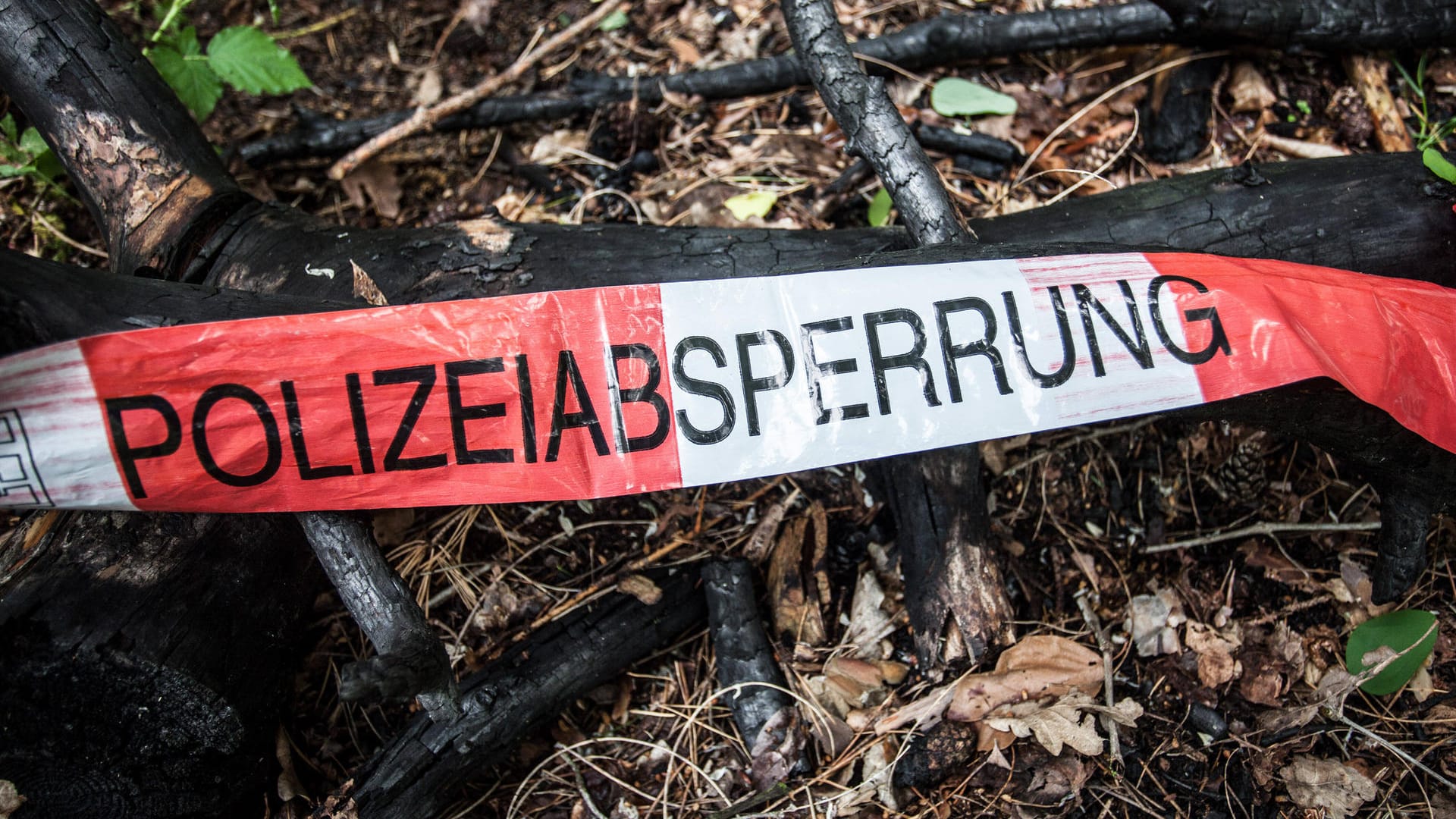 Polizeiabsperrung in einem Wald (Symbolbild): Die Leiche wurde mittlerweile obduziert.