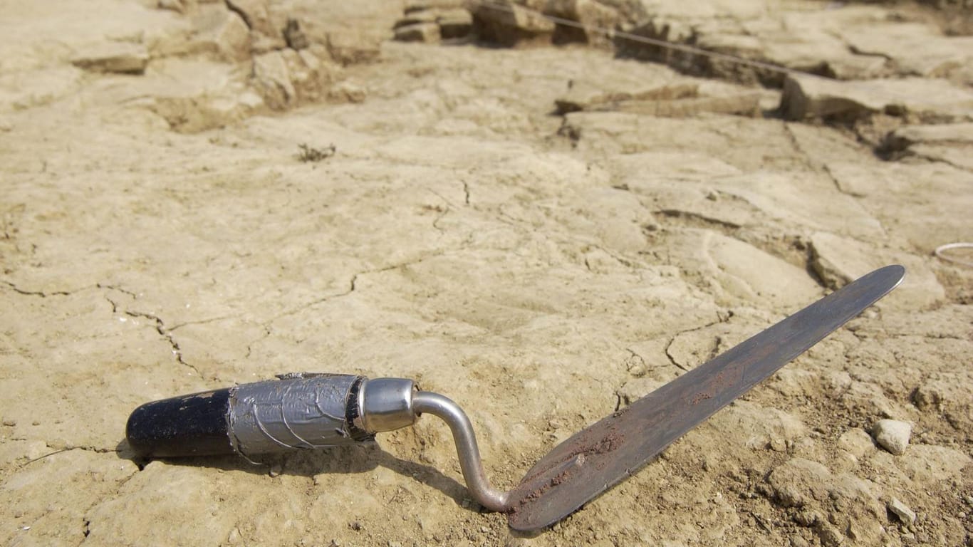 Eine Archäologenkelle liegt auf dem Boden (Symbolbild): Auf einem Baugrundstück sind historische Skelette gefunden worden.