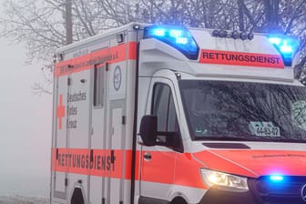 Krankenwagen (Symbolbild): In Baden-Württemberg kam ein 19-Jähriger bei einem Arbeitsunfall ums Leben.