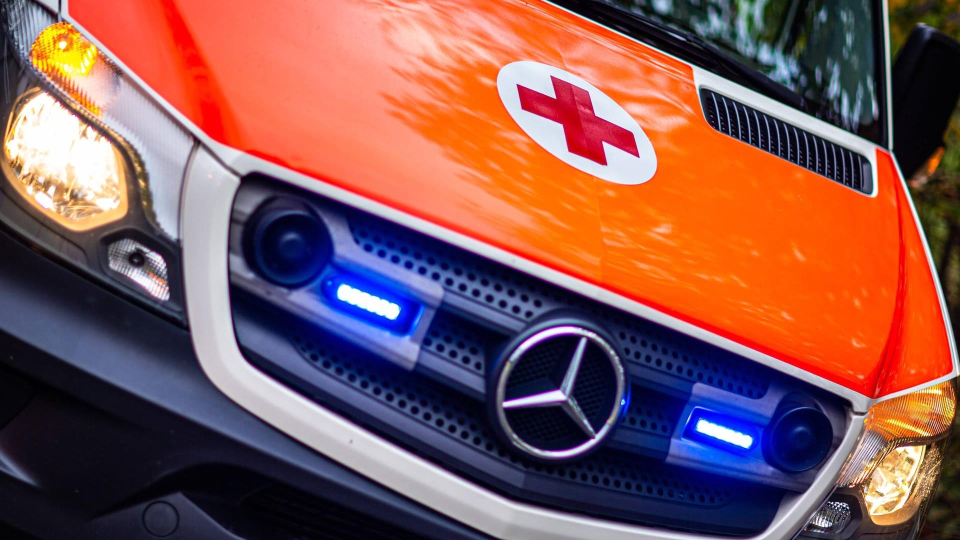 Ein Fahrzeug des Rettungsdienstes (Symbolbild): Die Frau erlitt schwere Schädelverletzungen. Ein Fahrzeug des Rettungsdienstes (Symbolbild): Die Frau erlitt schwere Schädelverletzungen.