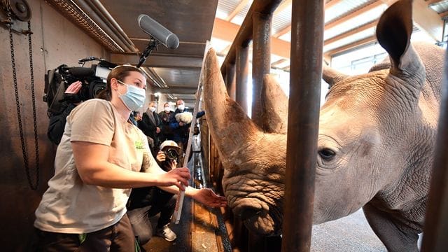 Inventur im Thüringer Zoopark Erfurt