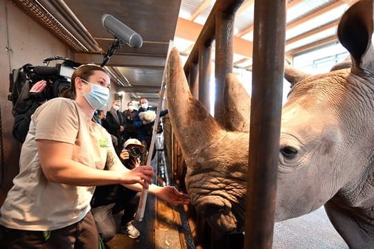 Inventur im Thüringer Zoopark Erfurt