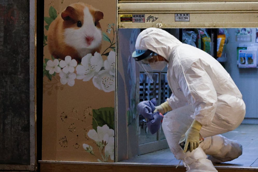 Mann in Schutzbekleidung verlässt eine Tierhandlung: Nachdem dort mehrere Hamster positiv auf Corona getestet wurden, lassen Behörden in Hongkong tausende Tiere einschläfern.