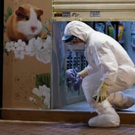 Mann in Schutzbekleidung verlässt eine Tierhandlung: Nachdem dort mehrere Hamster positiv auf Corona getestet wurden, lassen Behörden in Hongkong tausende Tiere einschläfern.