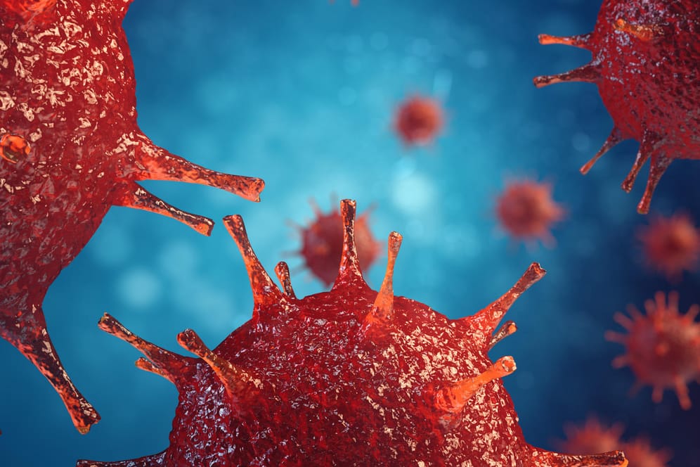 Influenzavirus als 3D-Darstellung: Die Grippe war lange fast verschwunden. Nun warnen Experten vor einer besonders schweren Saison.