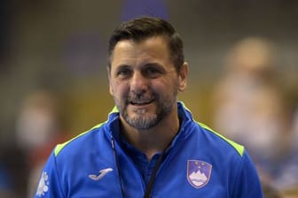 Trainer Ljubomir Vranjes