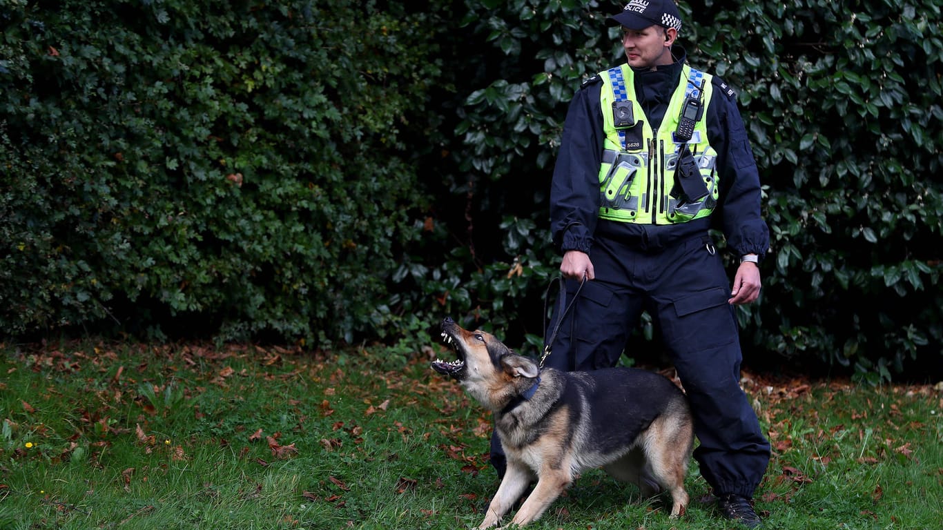 Eine Hundestreife vor dem Fußballstadion in Swansea (Symbolfoto): Die Hunde der britischen Polizei werden alle ohne Schmerzreize ausgebildet und eingesetzt – auch Schutzhunde. Ihrer Leistungsfähigkeit scheint das nicht merklich zu schaden.