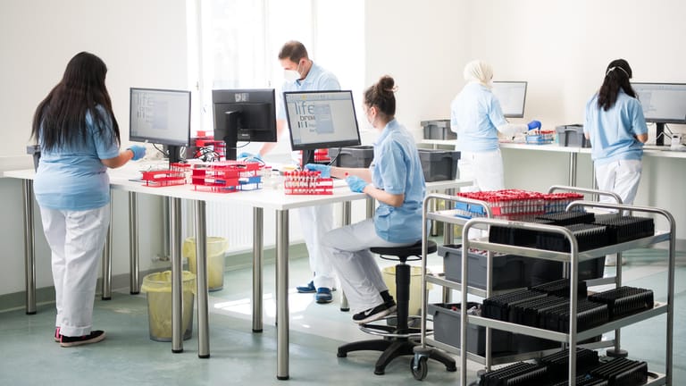 Mitarbeiter werten im Lifebrain-Labor PCR-Tests aus: "Alles gurgelt" startet für alle Wiener Haushalte durch.