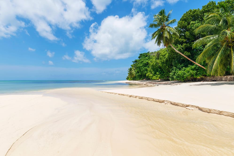 Anse Lazio: Der Strand auf den Seychellen ist besonders im Januar ein tolles Reiseziel.
