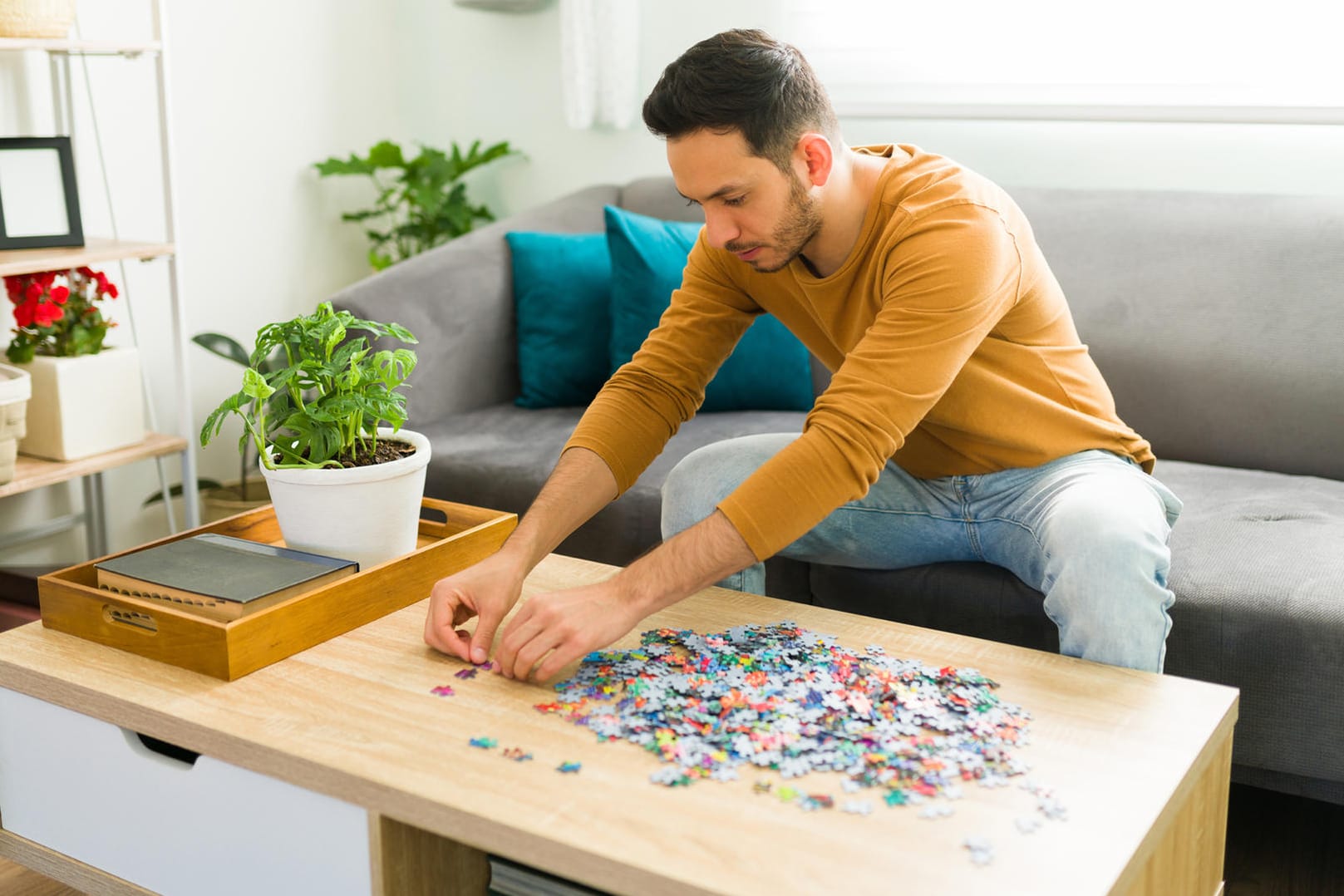 Entdecken Sie schöne Puzzles mit 1.000 Teilen für einen entspannten Abend.