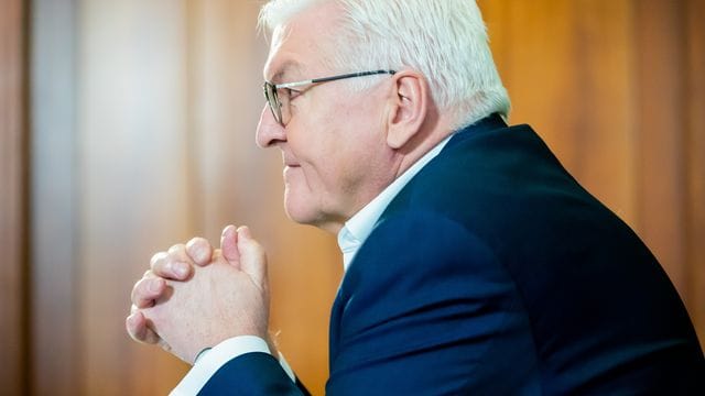 Bundespräsident Steinmeier