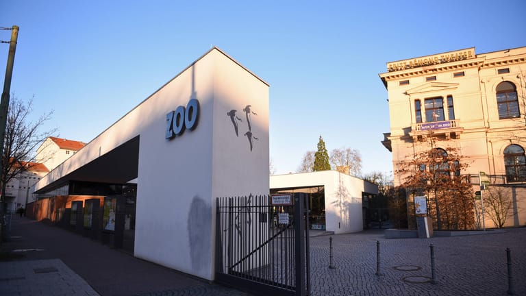 Eingang zum Frankfurter Zoo (Archivbild): Der Zoo Frankfurt bekommt eine neue Direktorin.