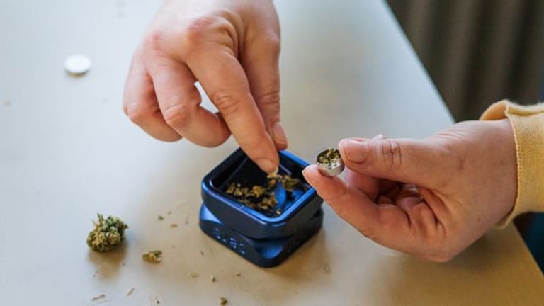 Weniger Anträge von Schwerkranken auf Cannabis