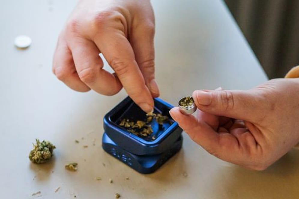Weniger Anträge von Schwerkranken auf Cannabis