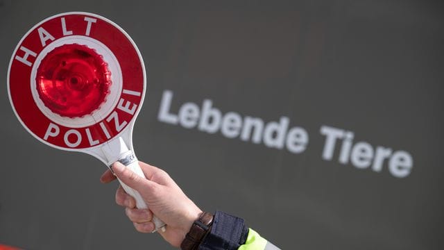 Tiertransporter mit dem Schriftzug "Lebende Tiere"