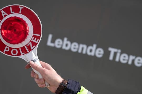 Tiertransporter mit dem Schriftzug "Lebende Tiere"