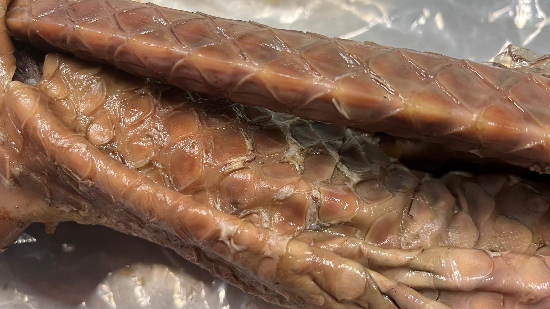 Die Schuppen des gebratenen Pangolins: Das seltene Schuppentier steht nach Europäischem Recht unter Artenschutz.