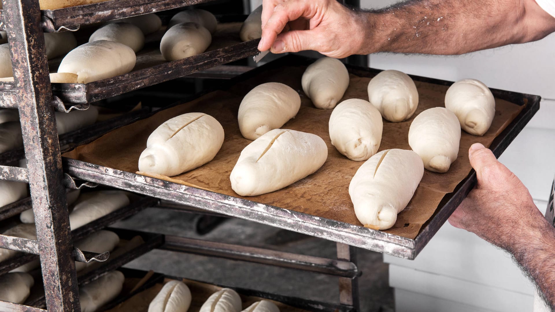 Backblech mit Teiglingen (Symbolbild): Der Bäckerei-Mitarbeiter verteidigt sich mit einem Rollcontainer. Backblech mit Teiglingen (Symbolbild): Der Bäckerei-Mitarbeiter verteidigt sich mit einem Rollcontainer.