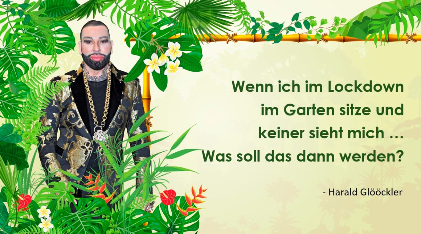 Die lustigsten Sprüche aus dem Dschungel