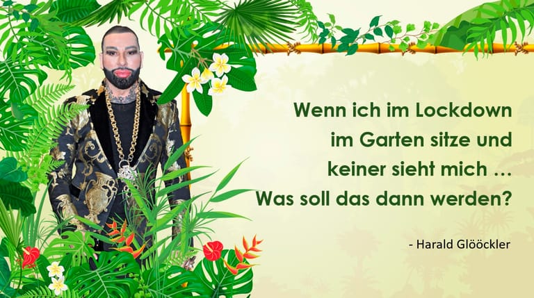 Die lustigsten Sprüche aus dem Dschungel