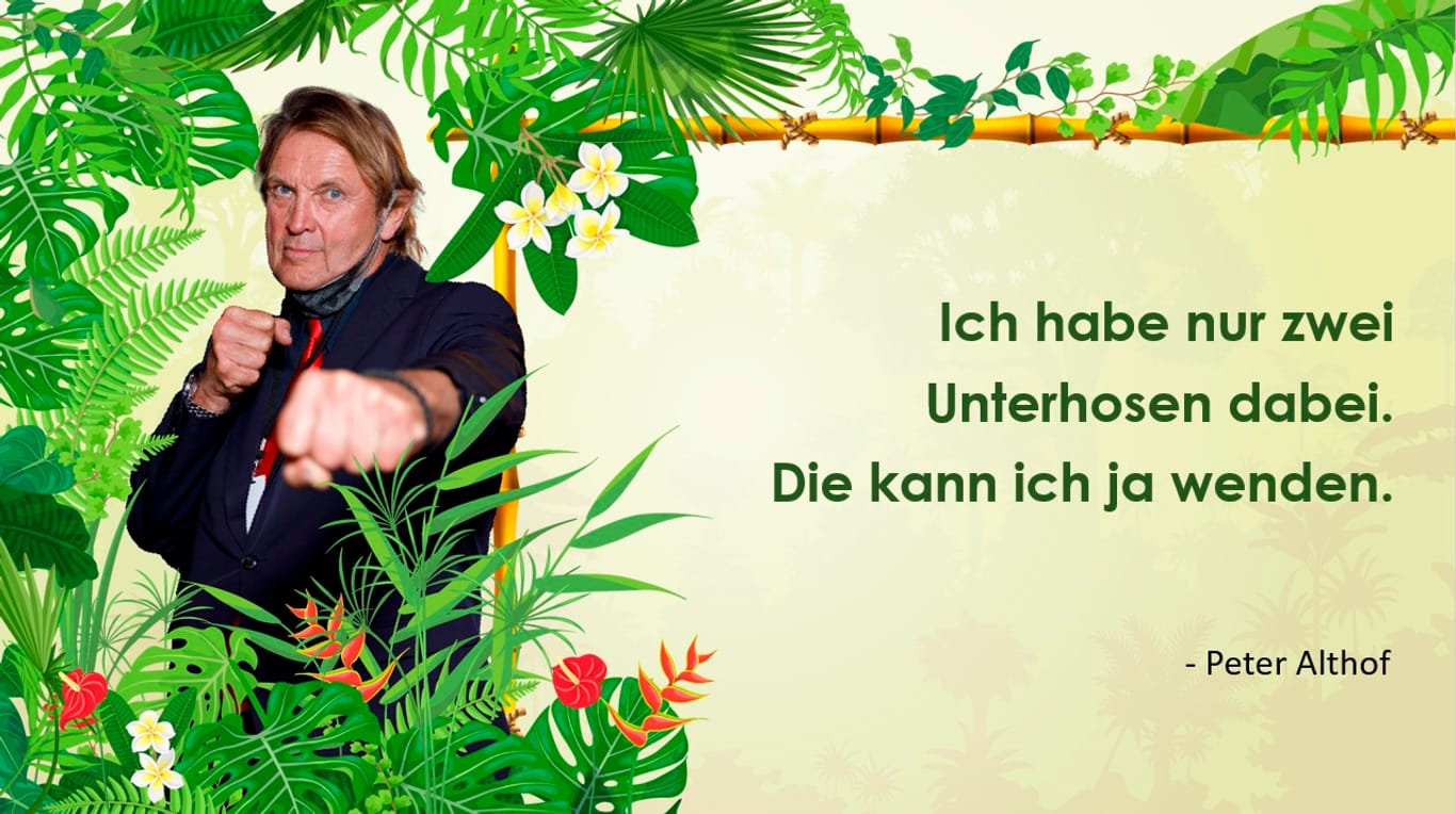 Die lustigsten Sprüche aus dem Dschungel