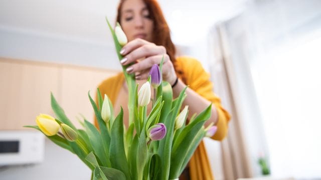 Ein Tulpenstrauß sollte seine Blüten erst zu Hause und nicht schon im Geschäft vor dem Kauf öffnen.