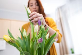 Ein Tulpenstrauß sollte seine Blüten erst zu Hause und nicht schon im Geschäft vor dem Kauf öffnen.
