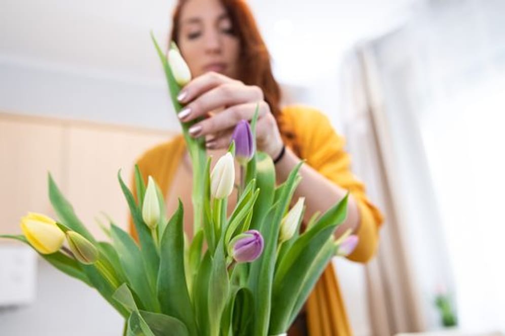 Ein Tulpenstrauß sollte seine Blüten erst zu Hause und nicht schon im Geschäft vor dem Kauf öffnen.