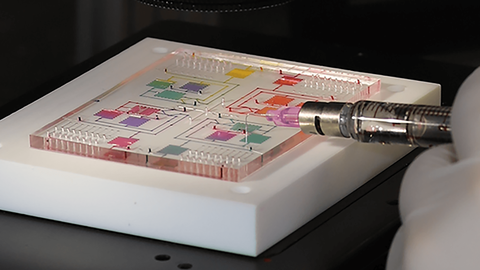 Auf chemische Reaktionen programmiert: Der Chip der Dresdner TU Forscher soll PCR-Schnelltests ermöglichen.