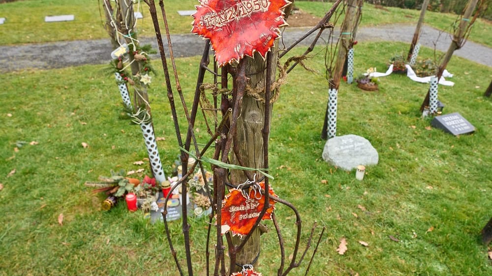 Beisetzung auf dem Friedweinberg: Auf dem Bergfriedhof in Ahrweiler können Verstorbene die letzte Ruhe unter Weinreben finden.