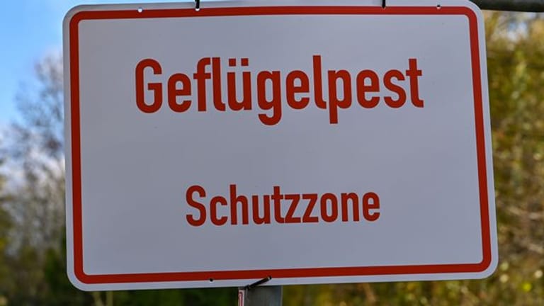 Schild mit der Aufschrift "Geflügelpest Schutzzone"