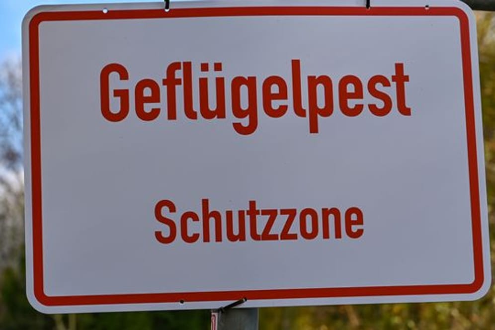 Schild mit der Aufschrift "Geflügelpest Schutzzone"
