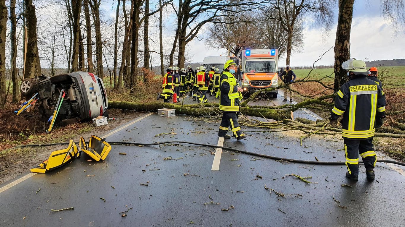 Die Unfallstelle auf der Landstraße im Kreis Stade: Die Feuerwehr musste während der Rettungsarbeiten den Baum zersägen.