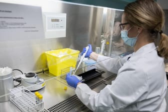 PCR Tests werden vorbereitet (Symbolbild): Der Inzidenzwert in Deutschland liegt mittlerweile über 1.000.