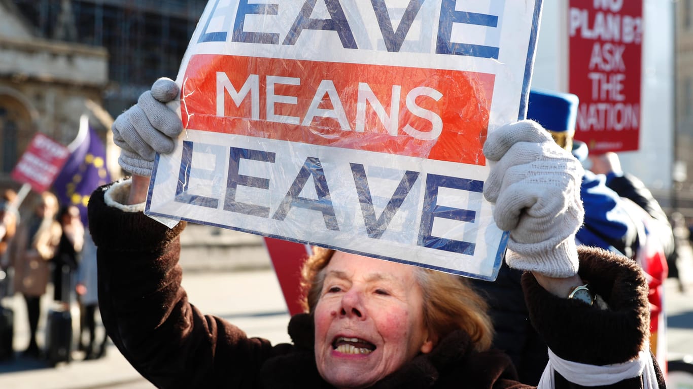 Eine Pro-Brexit-Demonstrantin hält ein Schild: "Wir haben ohnehin nie viel profitables Geschäft mit Europa gemacht", sagt ein Befürworter des Brexits.