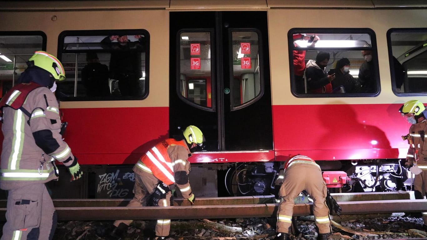 Einsatzkräfte ziehen einen Baum unter einer S-Bahn hervor: Verletzt wurde niemand.