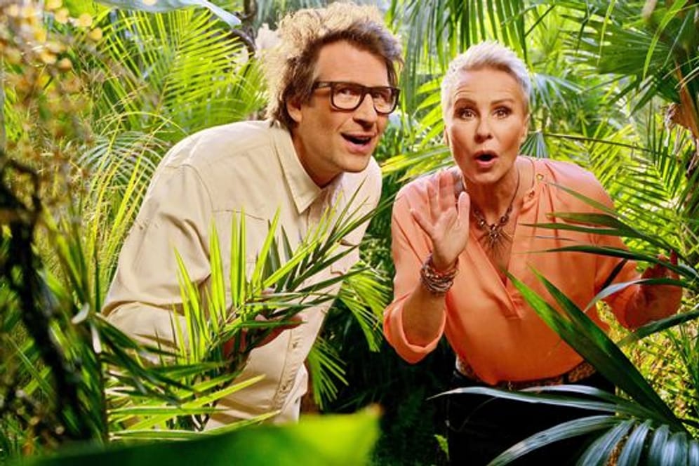 Daniel Hartwich und Sonja Zietlow, die Moderatoren des RTL-Dschungelcamp,.