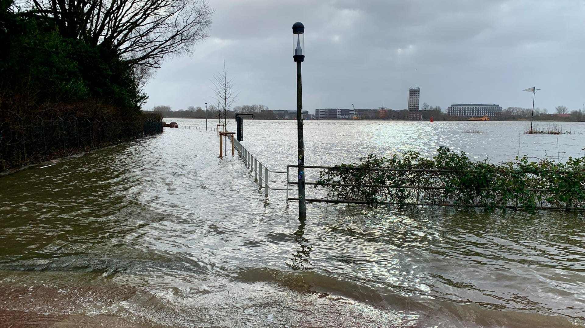 Hochwasser in Teufelsbrück: Wege und Straßen entlang der Elbe sind überflutet.