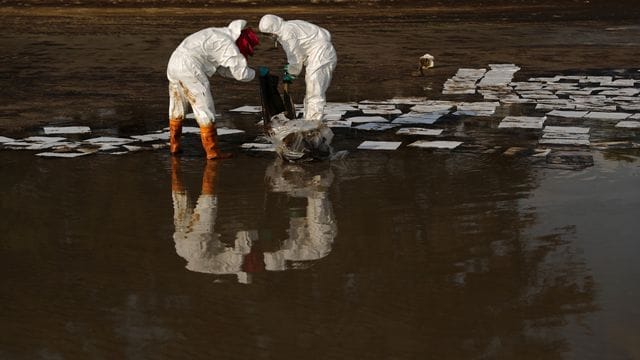 Arbeiter sammeln am Strand von Mae Ramphueng in Thailand mit Öl verschmutzes Material ein. Arbeiter sammeln am Strand von Mae Ramphueng in Thailand mit Öl verschmutzes Material ein.