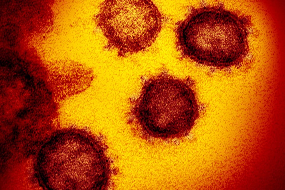 Coronavirus: Nach ersten Erkenntnissen ist der Omikron-Subtyp BA.2 doppelt so ansteckend wie seine Urvariante.